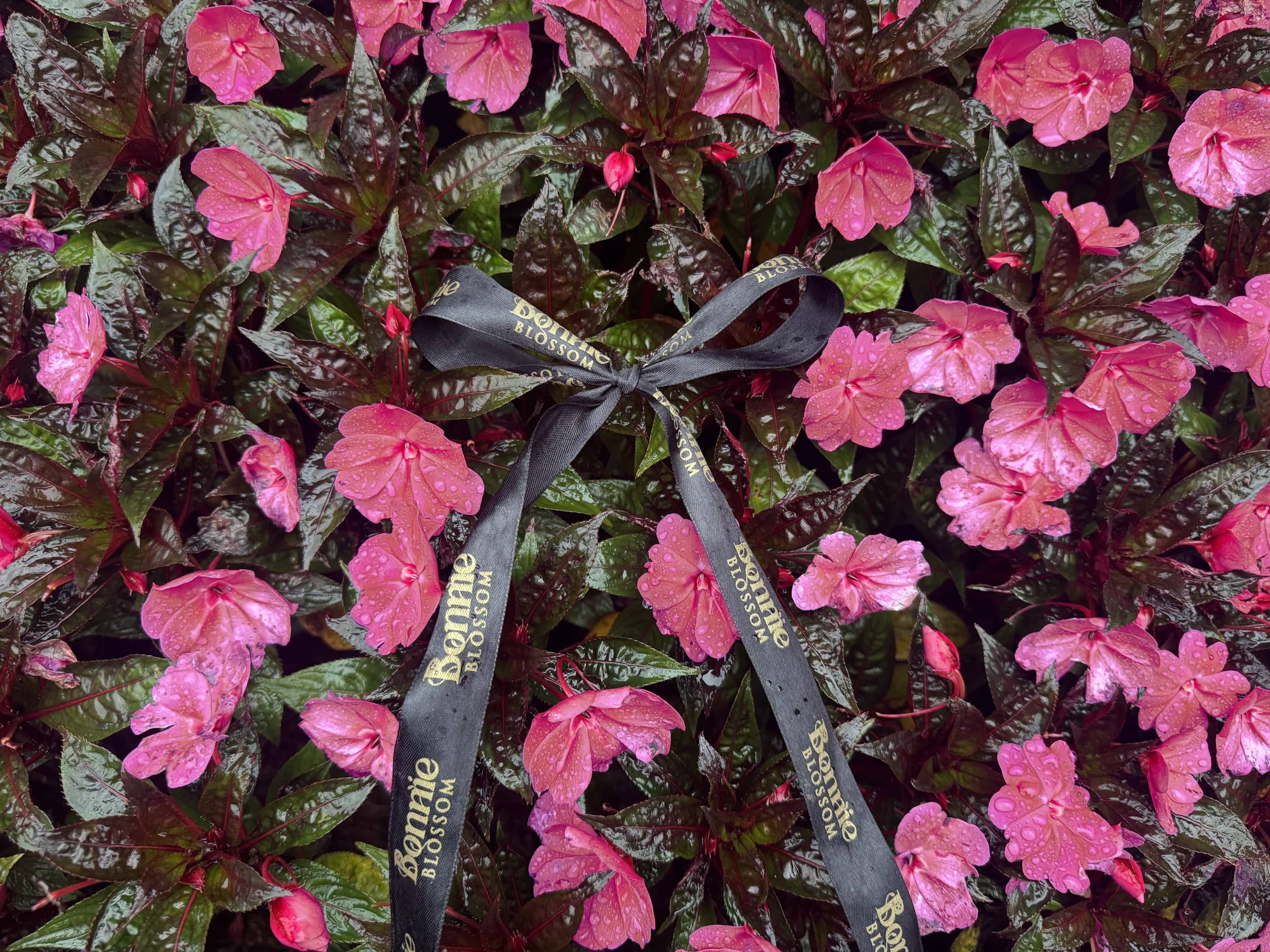 Beautiful flower arrangement