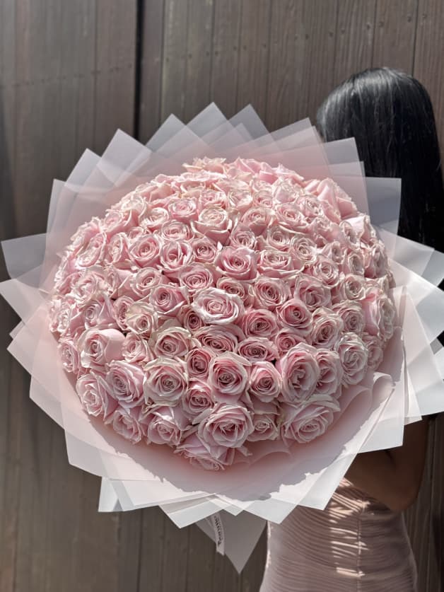 101 Pink Holland Roses